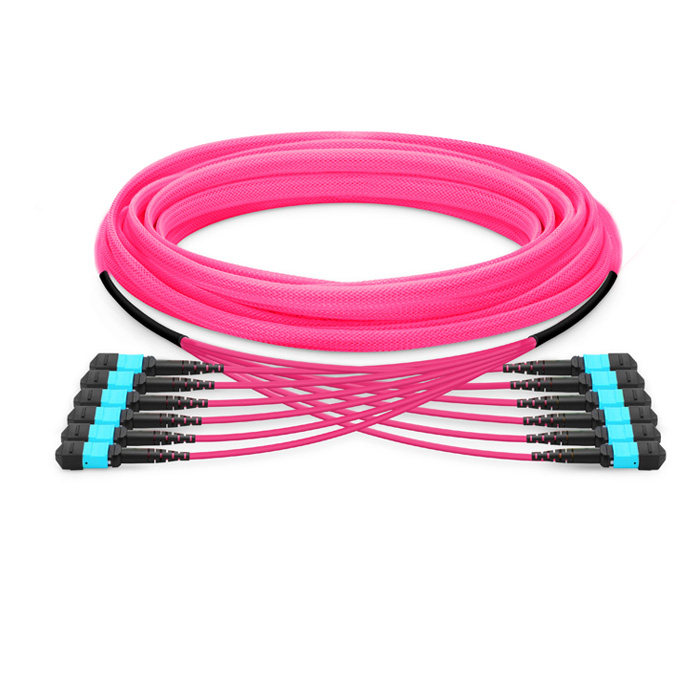 MTP Female to MTP Female 72 Fibers OM4 50/125 Multimode Trunk Cable, Type B, Elite, LSZH Bunch